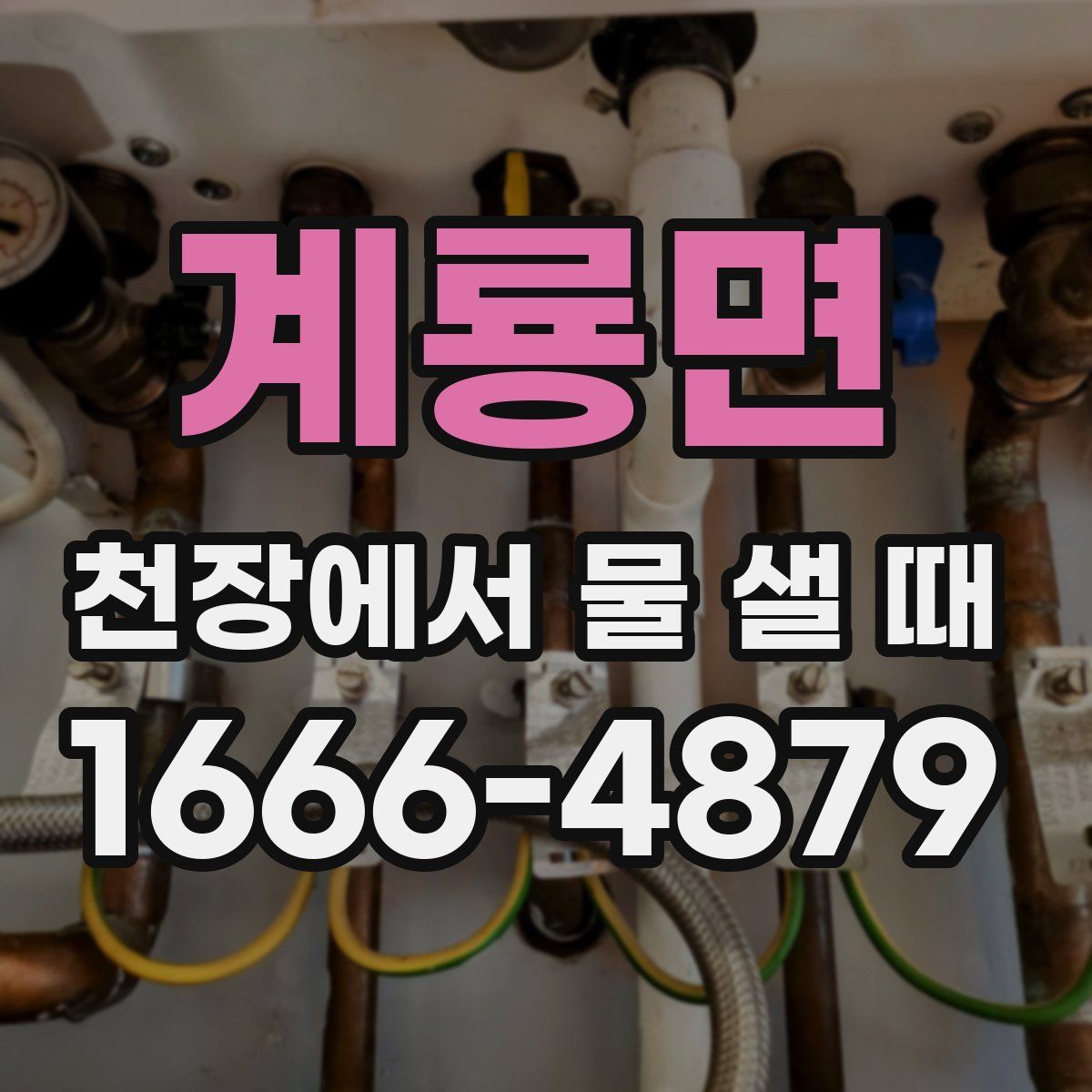 계룡면 천장에서 물 샐 때