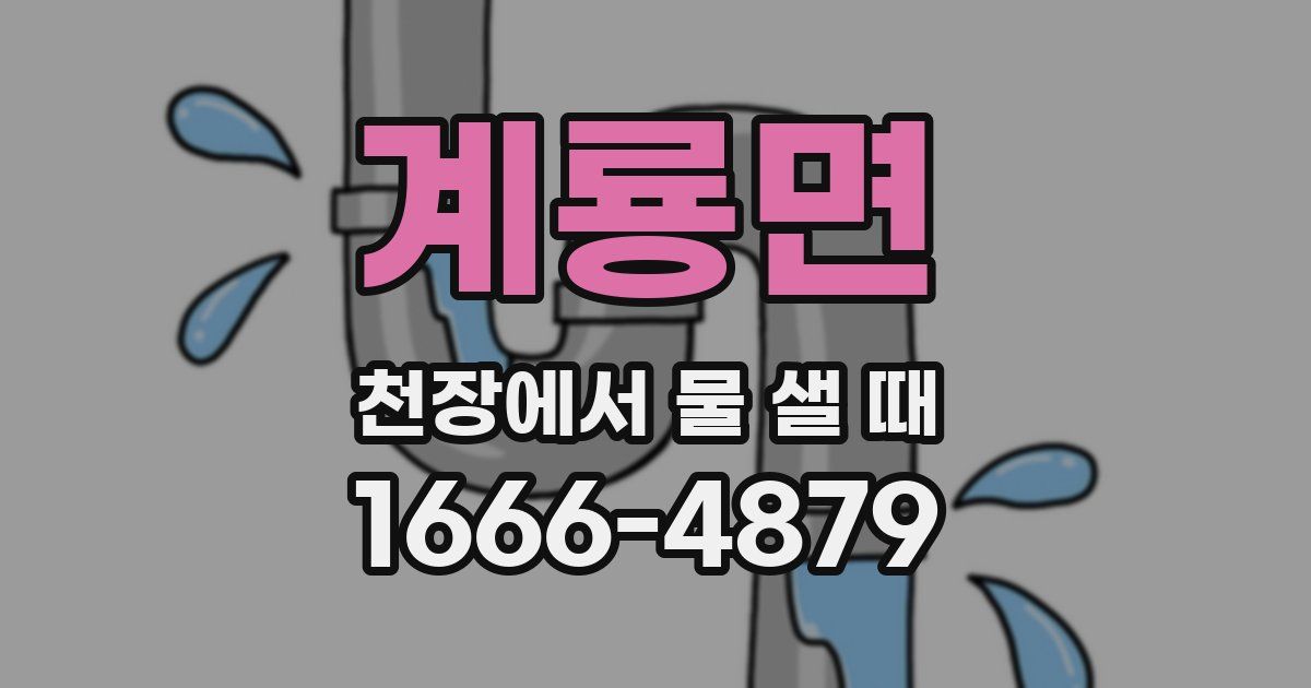 계룡면 천장에서 물 샐 때