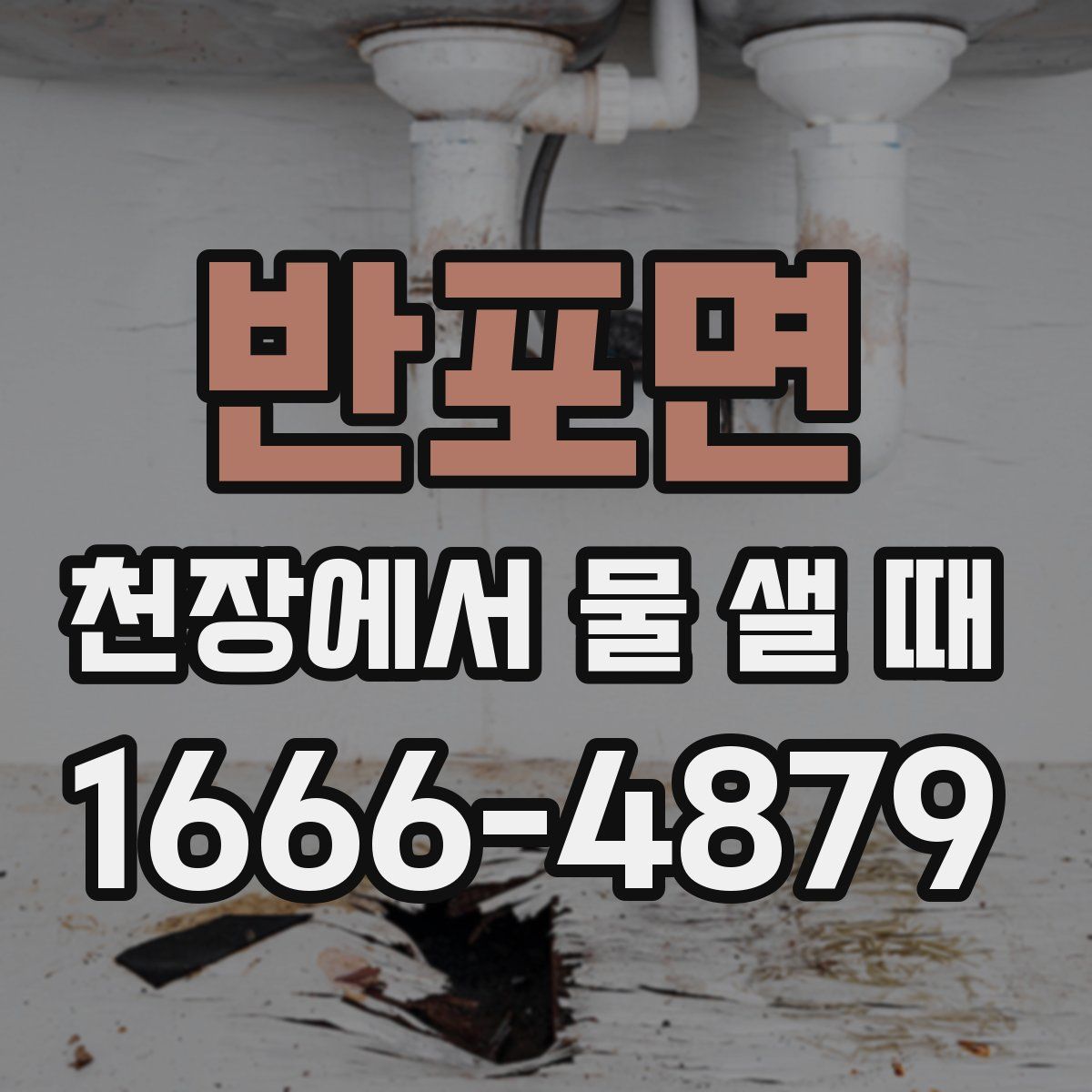 반포면 천장에서 물 샐 때