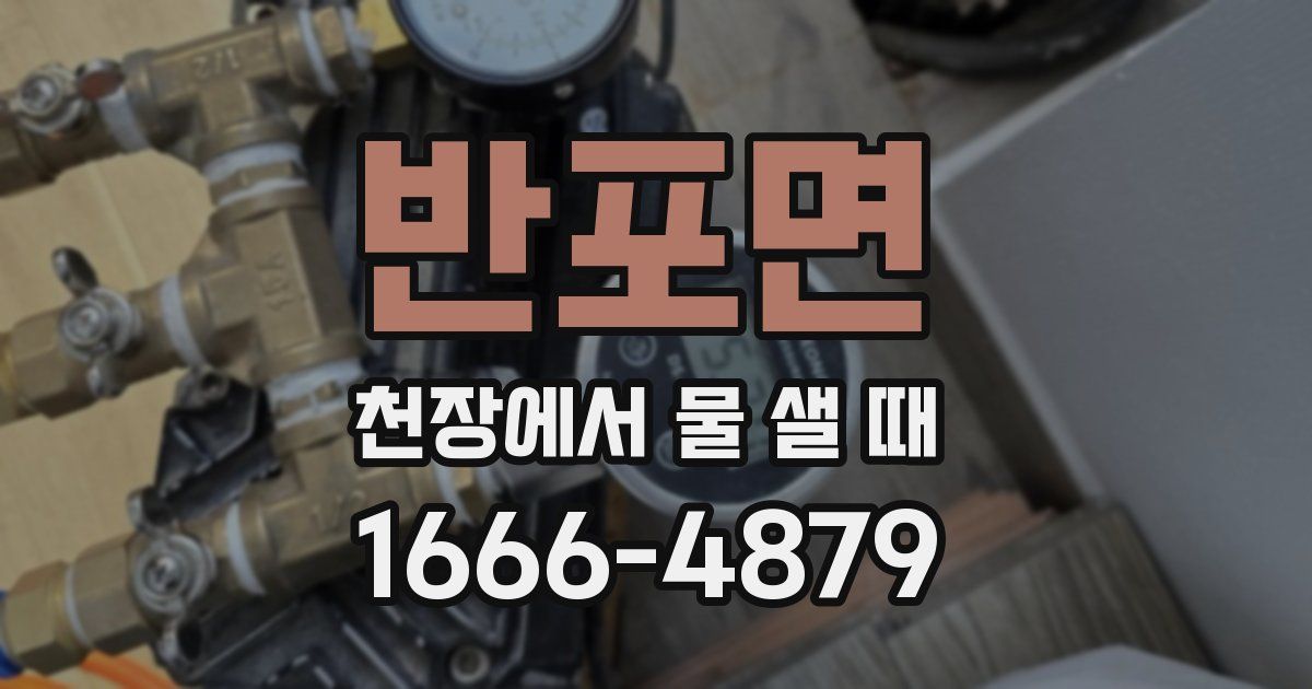 반포면 천장에서 물 샐 때