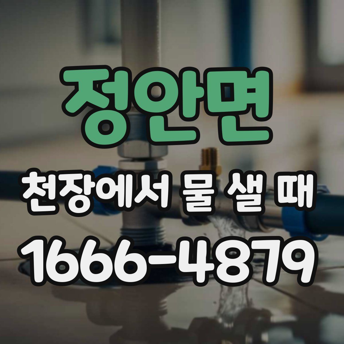 정안면 천장에서 물 샐 때