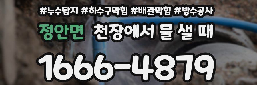 정안면 천장에서 물 샐 때