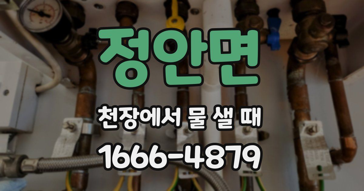 정안면 천장에서 물 샐 때