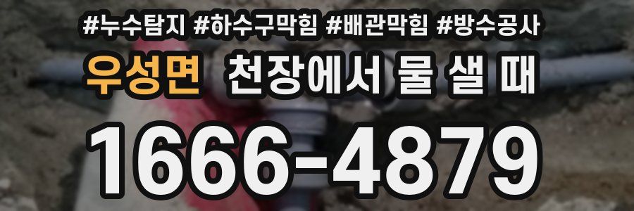 우성면 천장에서 물 샐 때