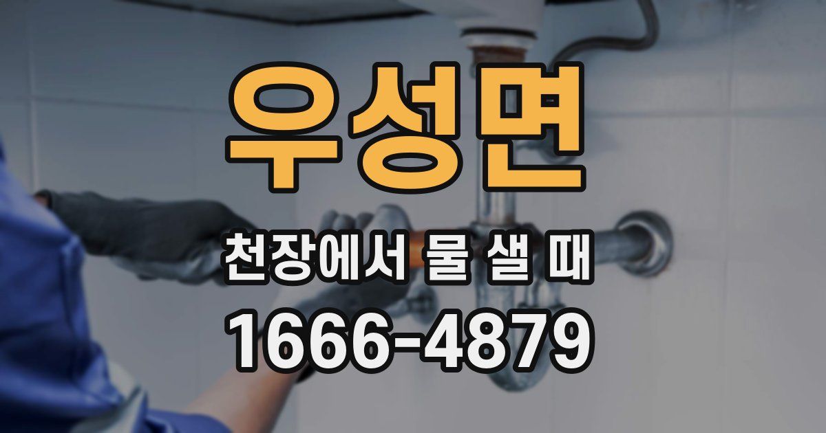 우성면 천장에서 물 샐 때