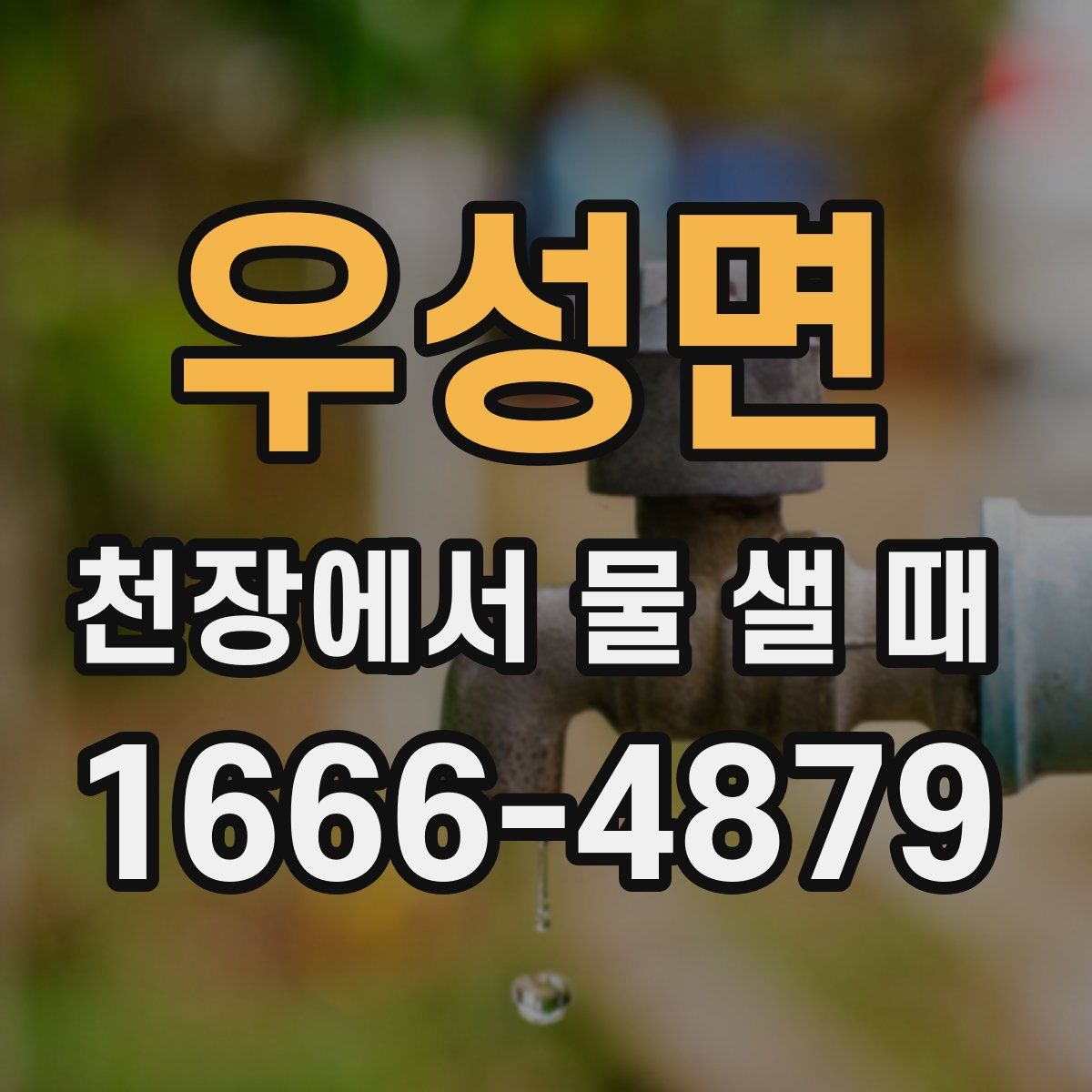 우성면 천장에서 물 샐 때