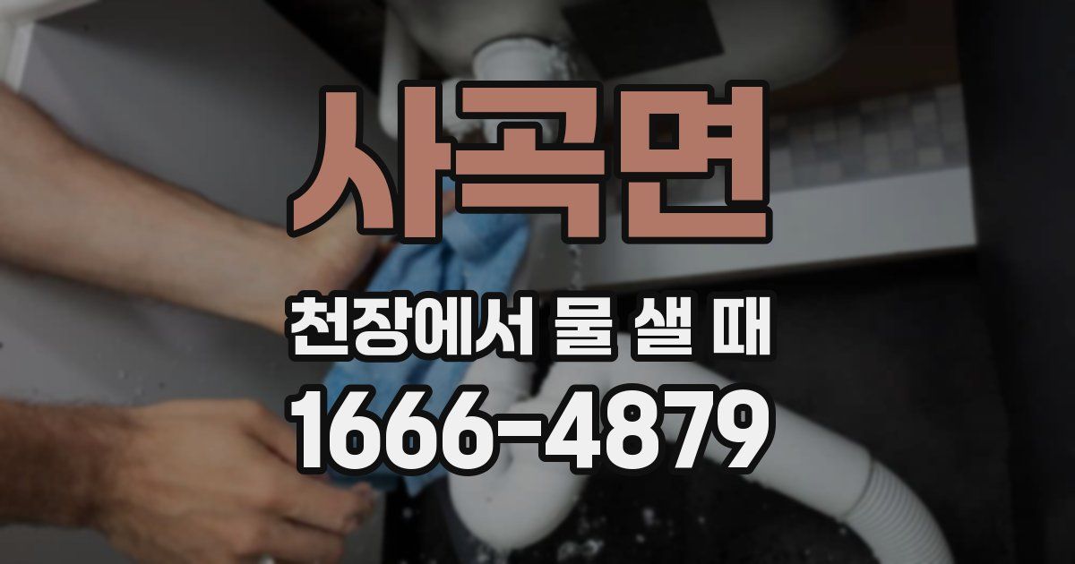 사곡면 천장에서 물 샐 때