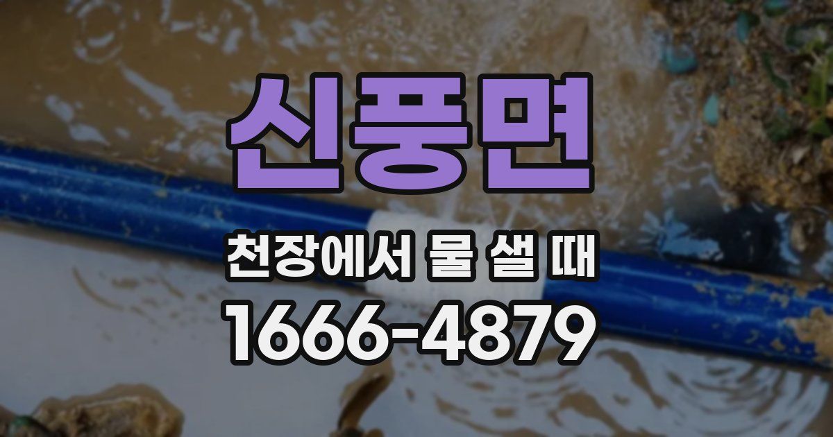신풍면 천장에서 물 샐 때