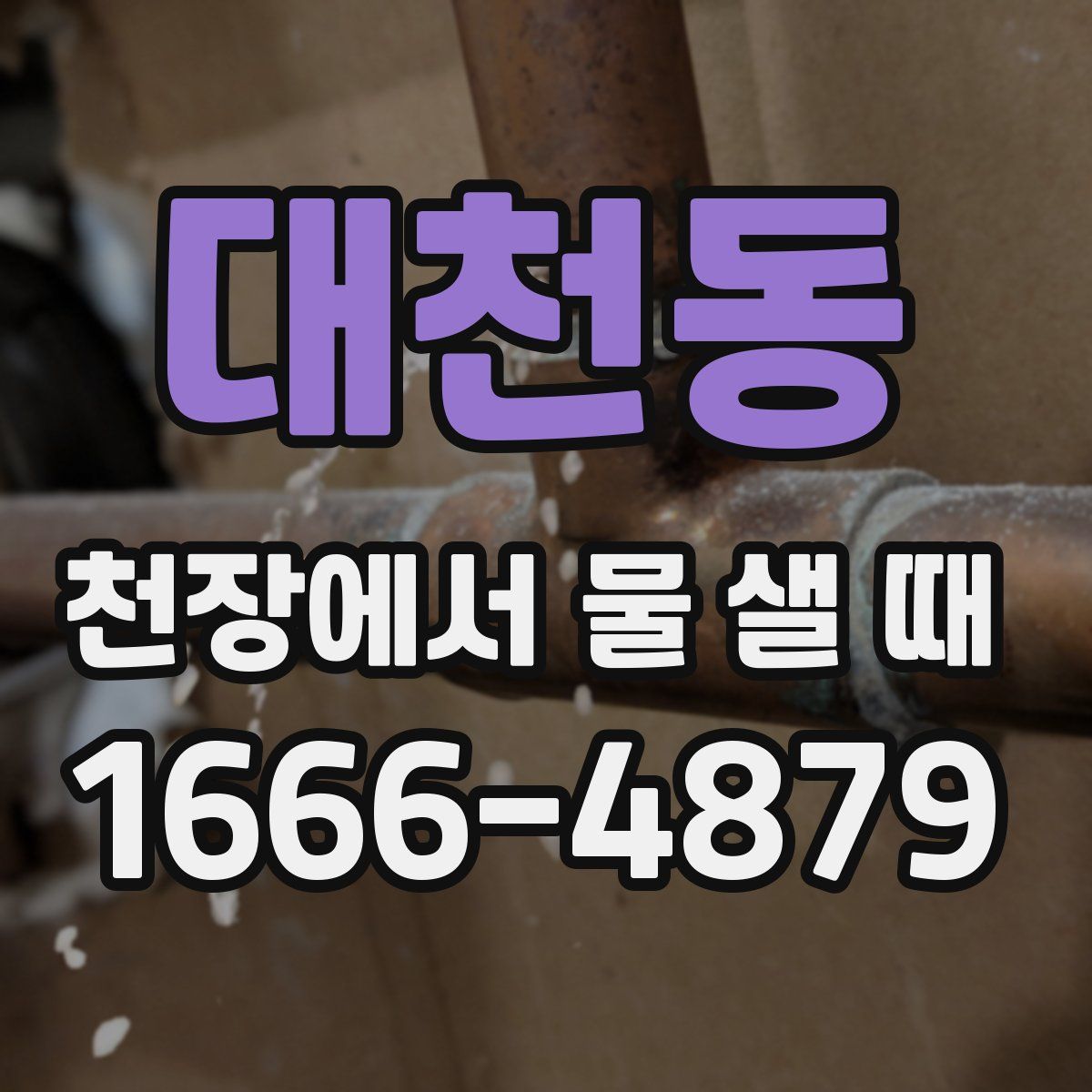 대천동 천장에서 물 샐 때