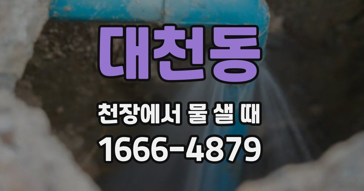 대천동 천장에서 물 샐 때