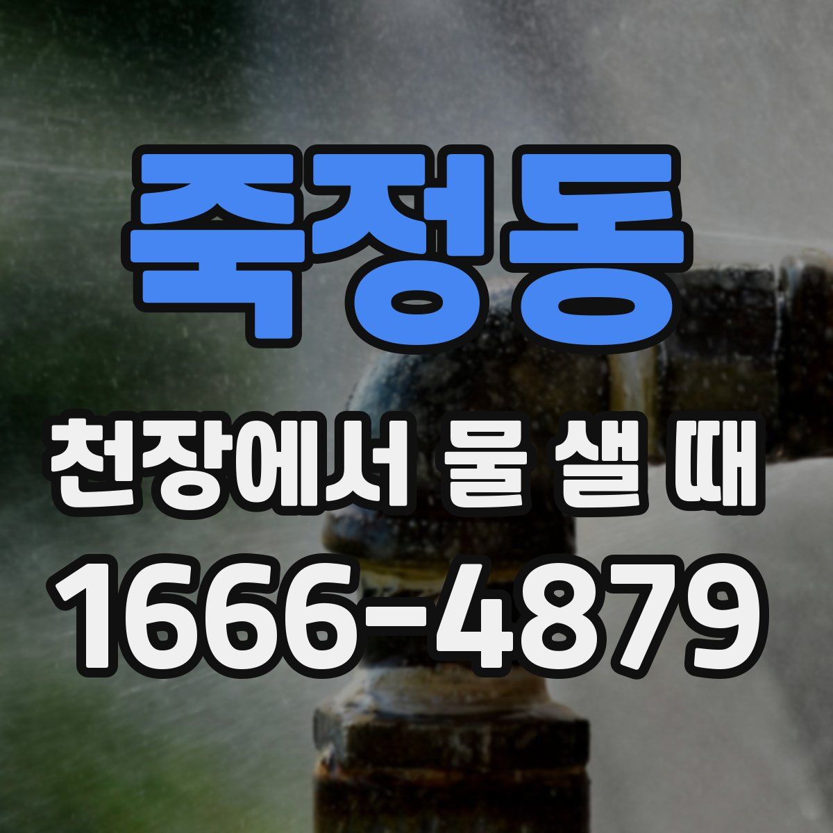 죽정동 천장에서 물 샐 때