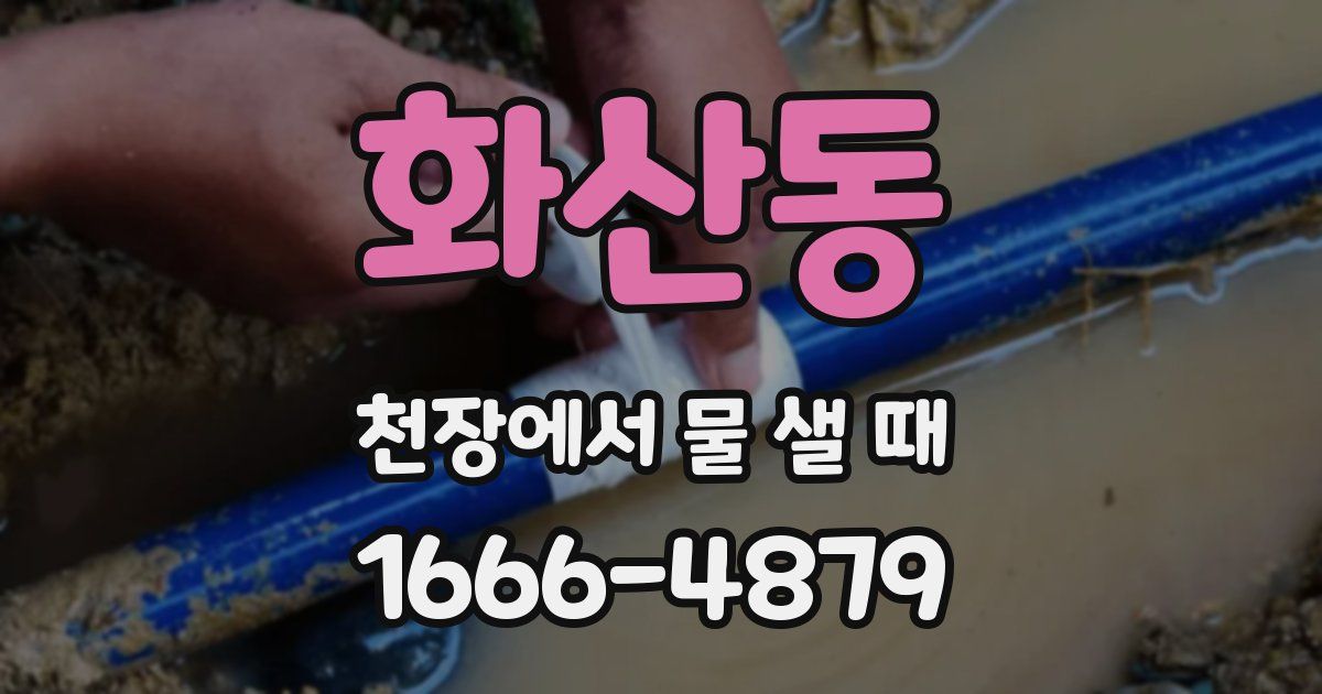 화산동 천장에서 물 샐 때