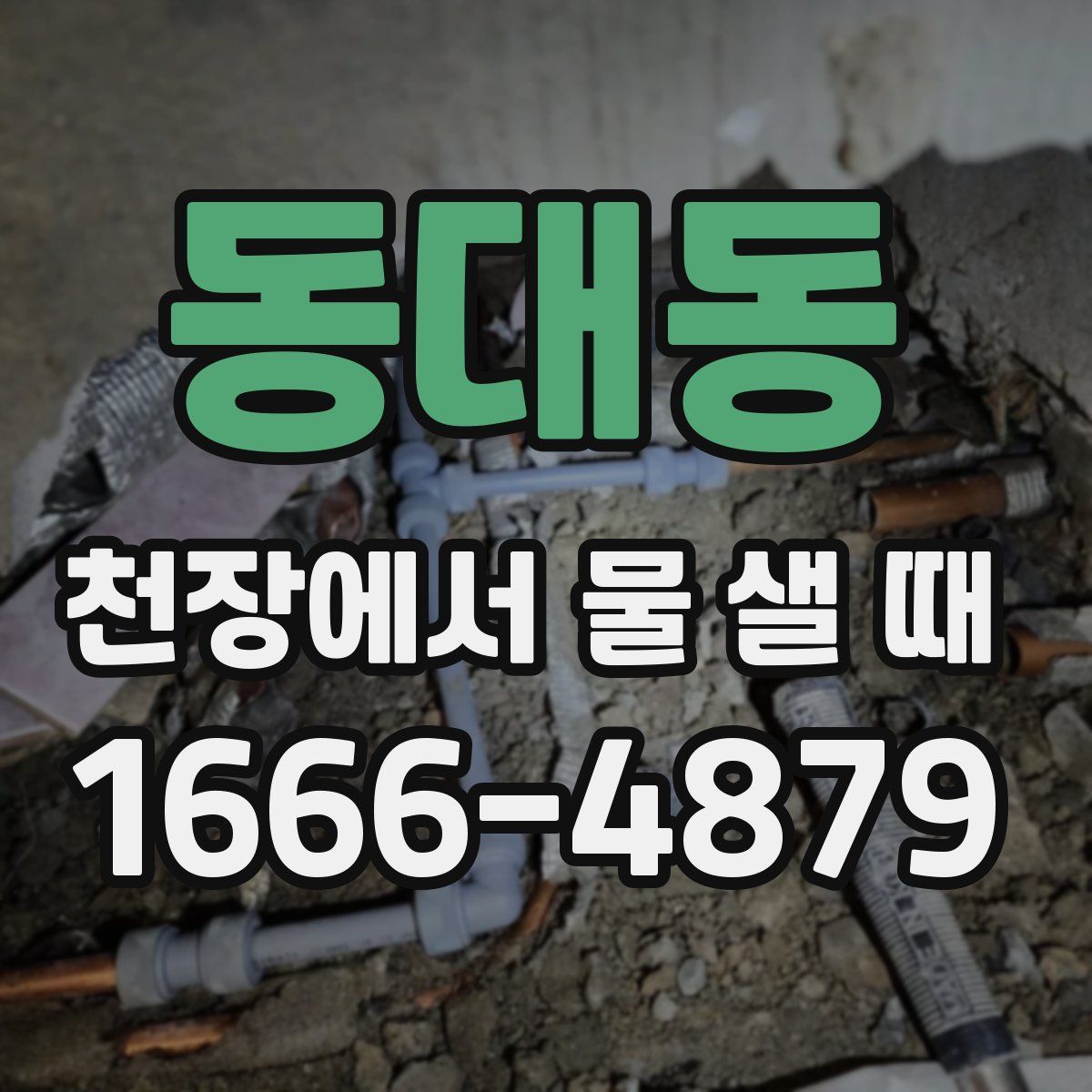 동대동 천장에서 물 샐 때