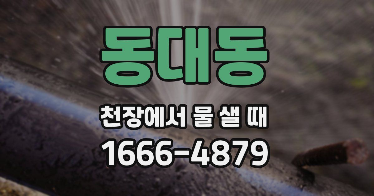 동대동 천장에서 물 샐 때