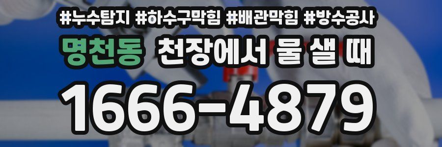 명천동 천장에서 물 샐 때