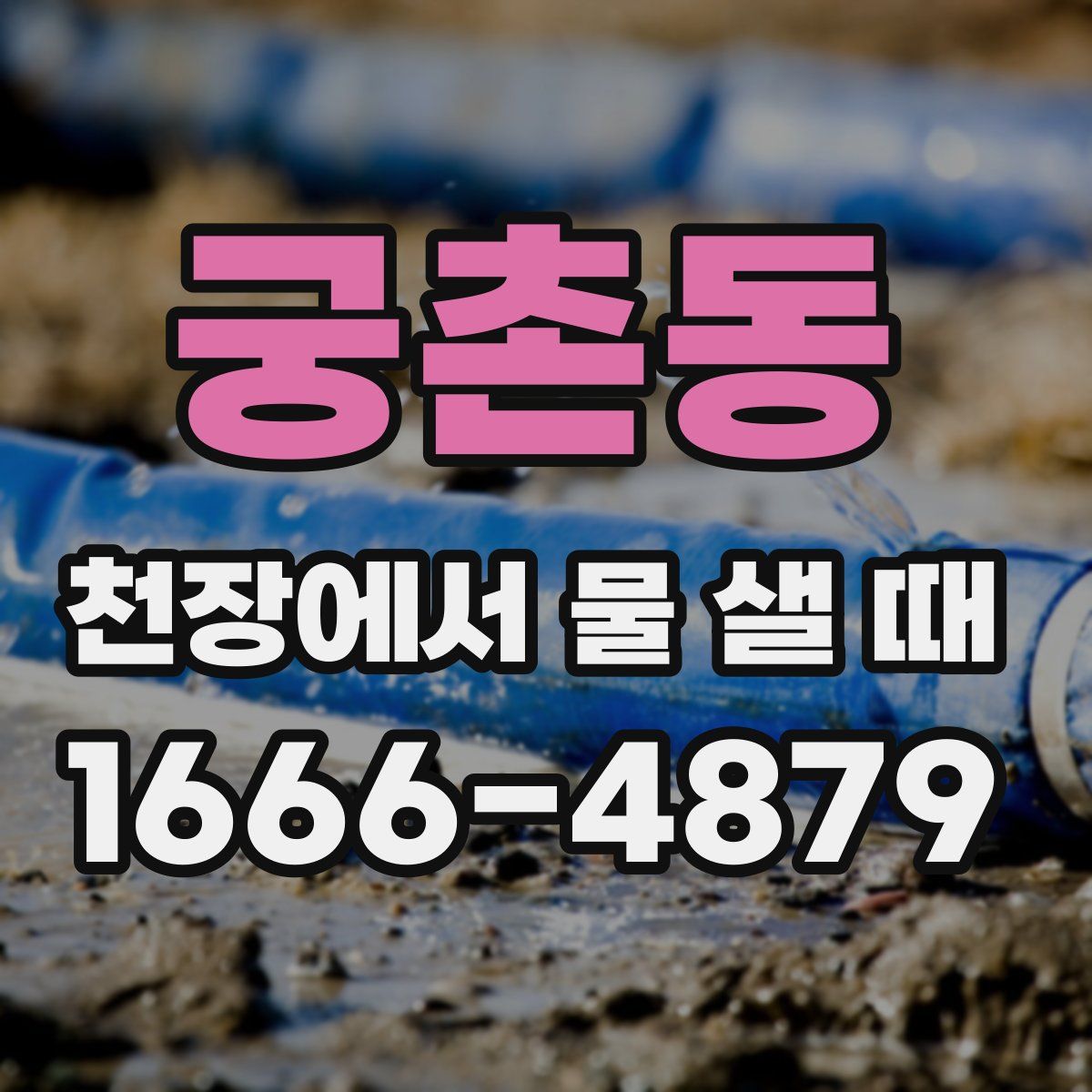 궁촌동 천장에서 물 샐 때