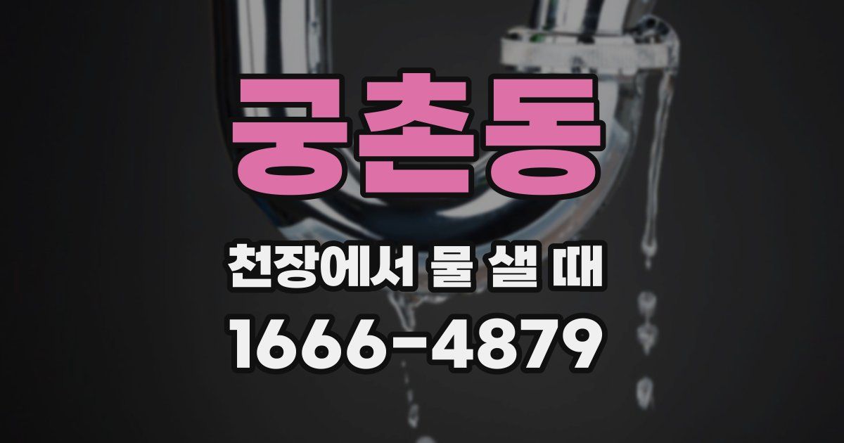 궁촌동 천장에서 물 샐 때