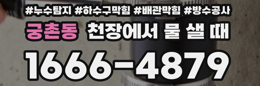 궁촌동 천장에서 물 샐 때