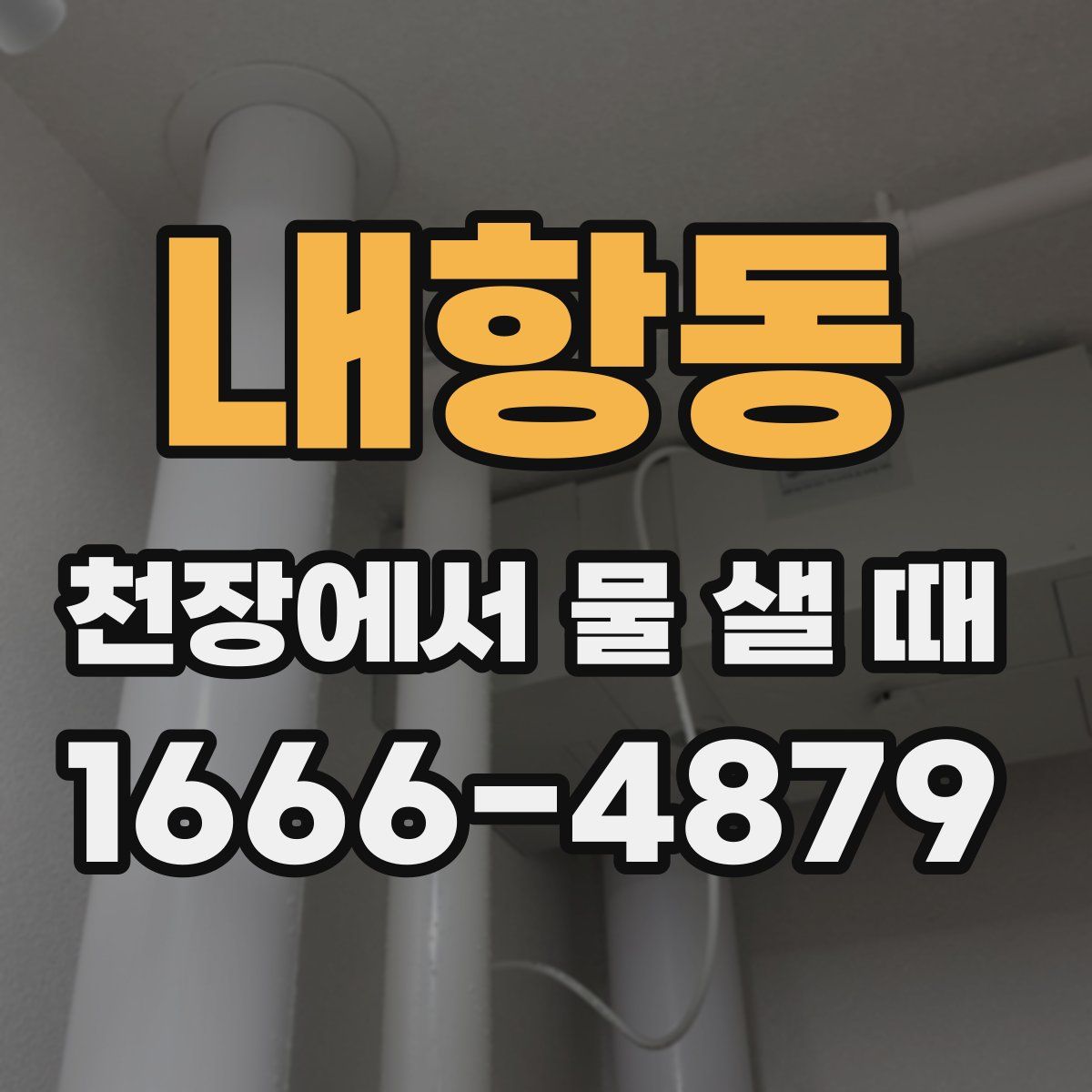 내항동 천장에서 물 샐 때