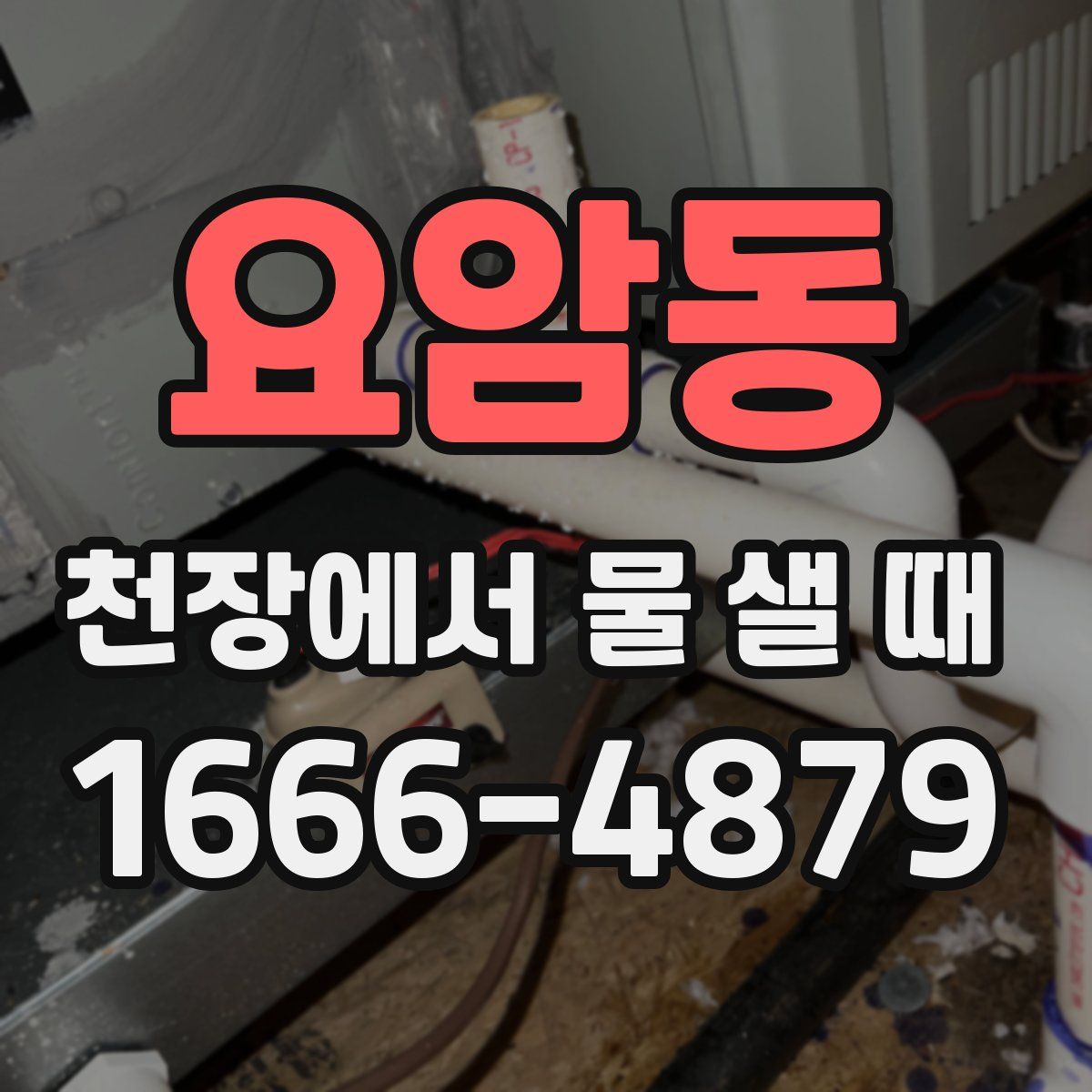 요암동 천장에서 물 샐 때