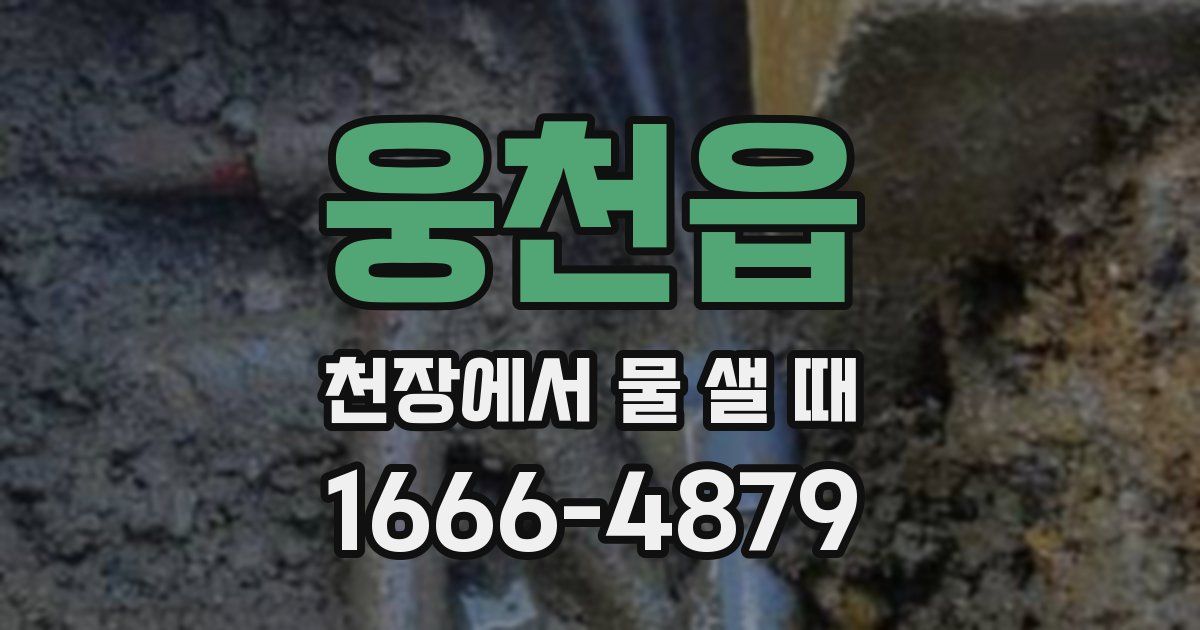 웅천읍 천장에서 물 샐 때