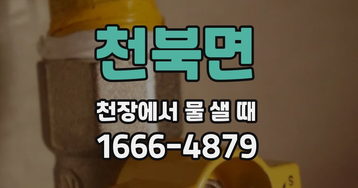 천북면 천장에서 물 샐 때