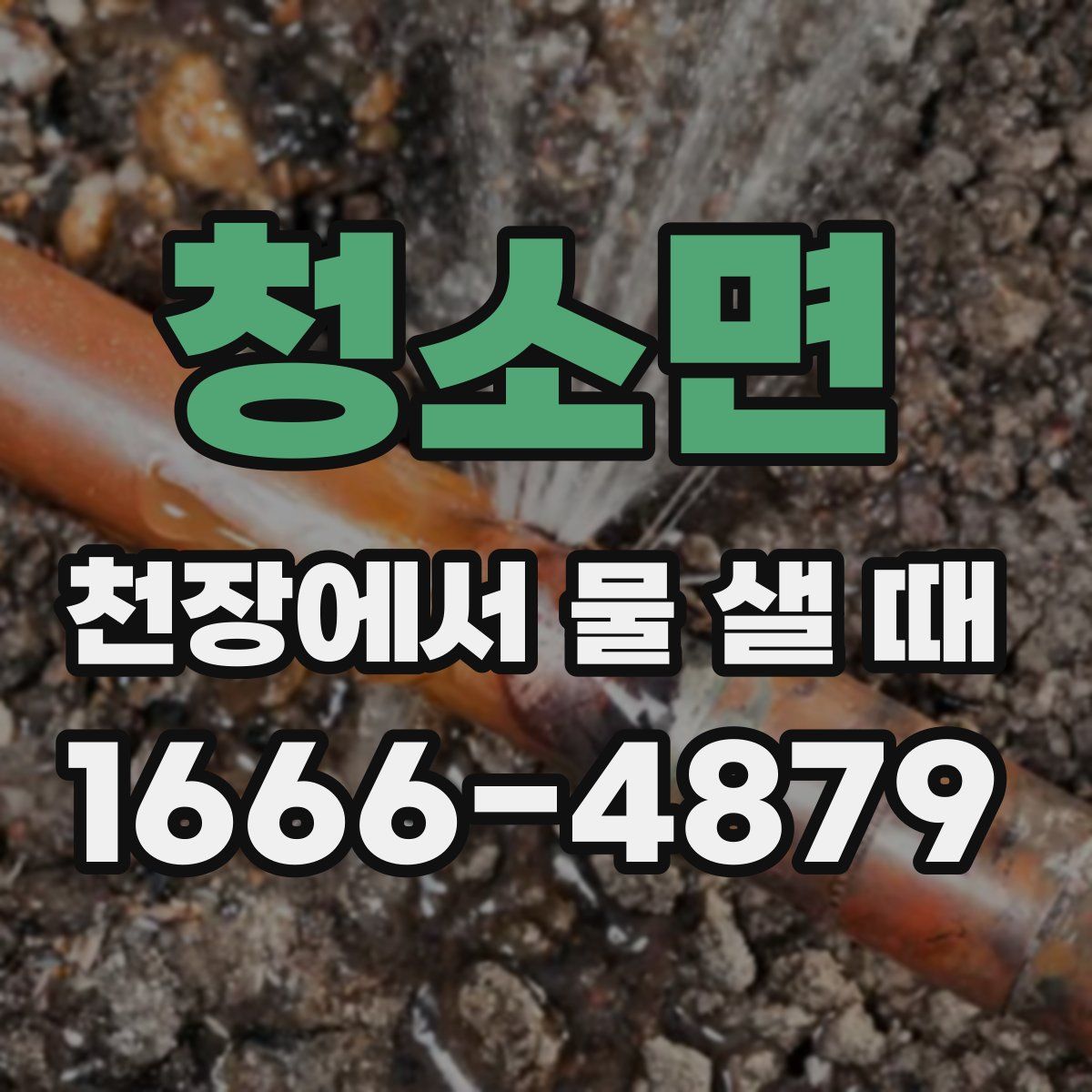 청소면 천장에서 물 샐 때