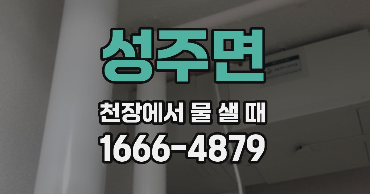 성주면 천장에서 물 샐 때
