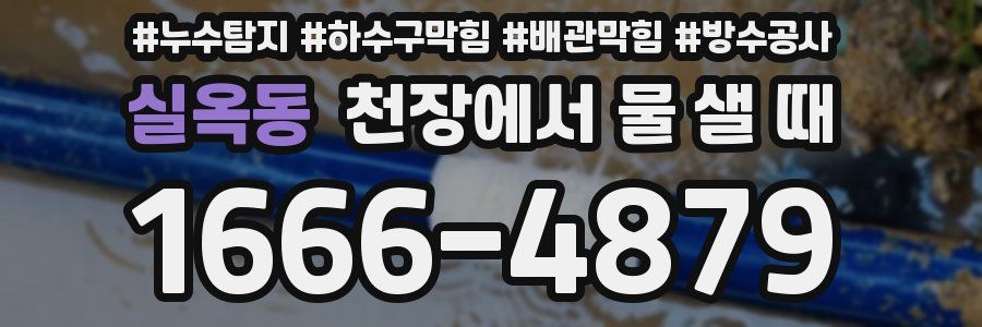 실옥동 천장에서 물 샐 때