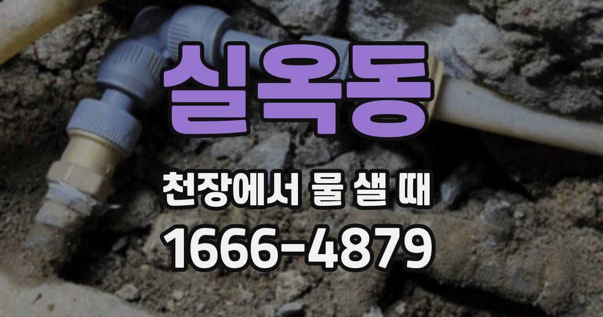 실옥동 천장에서 물 샐 때
