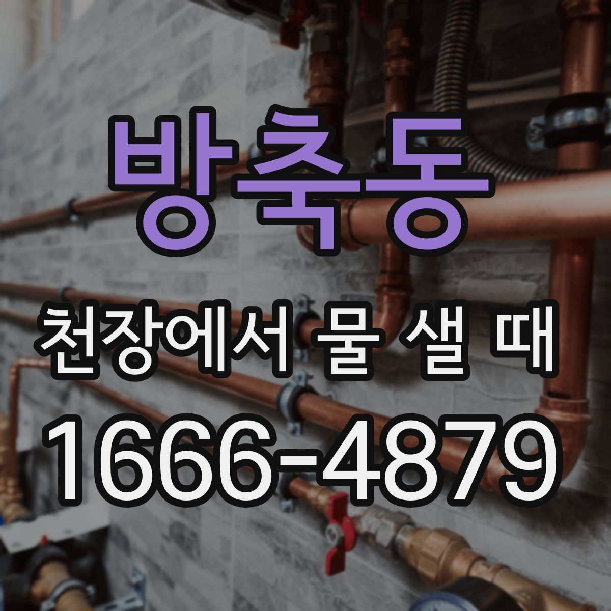 방축동 천장에서 물 샐 때