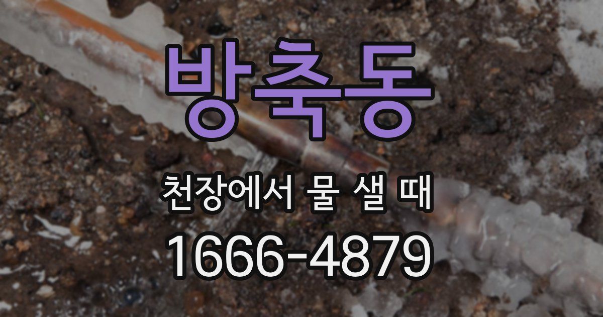 방축동 천장에서 물 샐 때