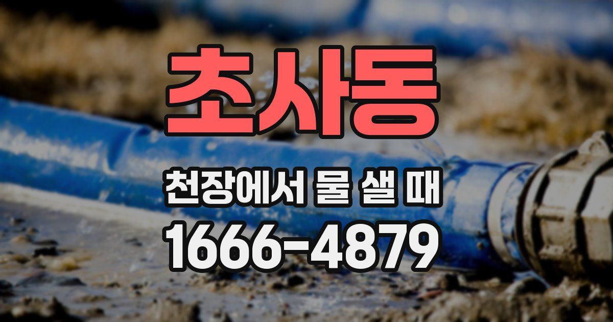 초사동 천장에서 물 샐 때