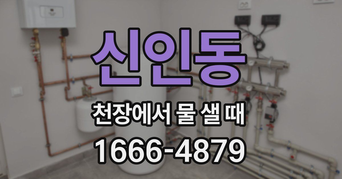 신인동 천장에서 물 샐 때