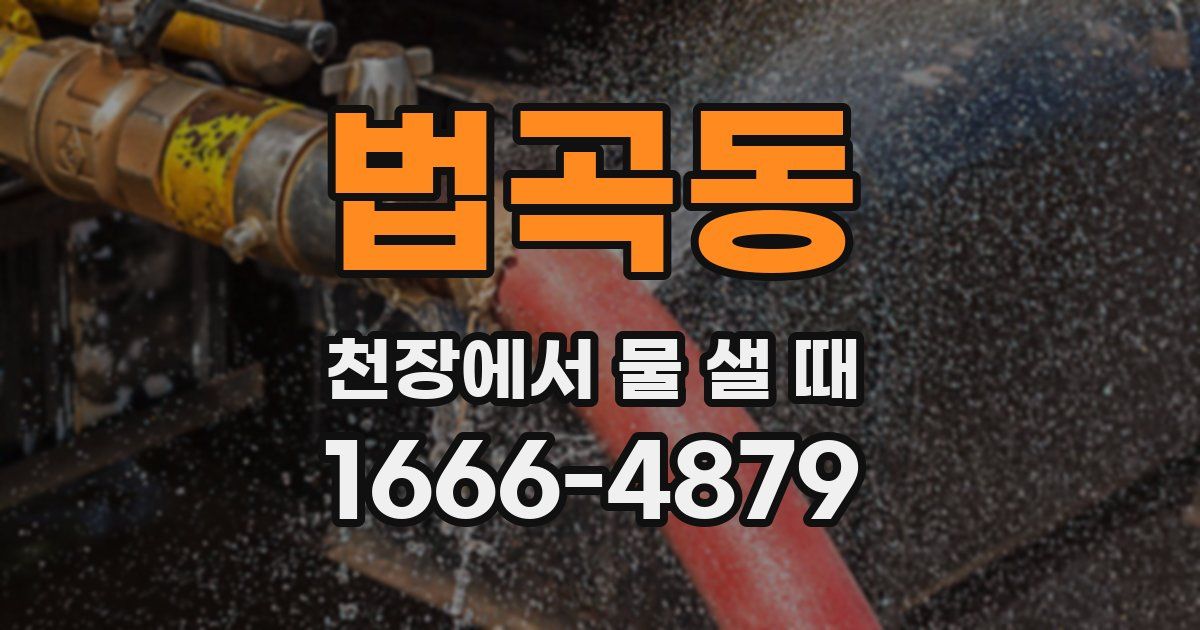 법곡동 천장에서 물 샐 때