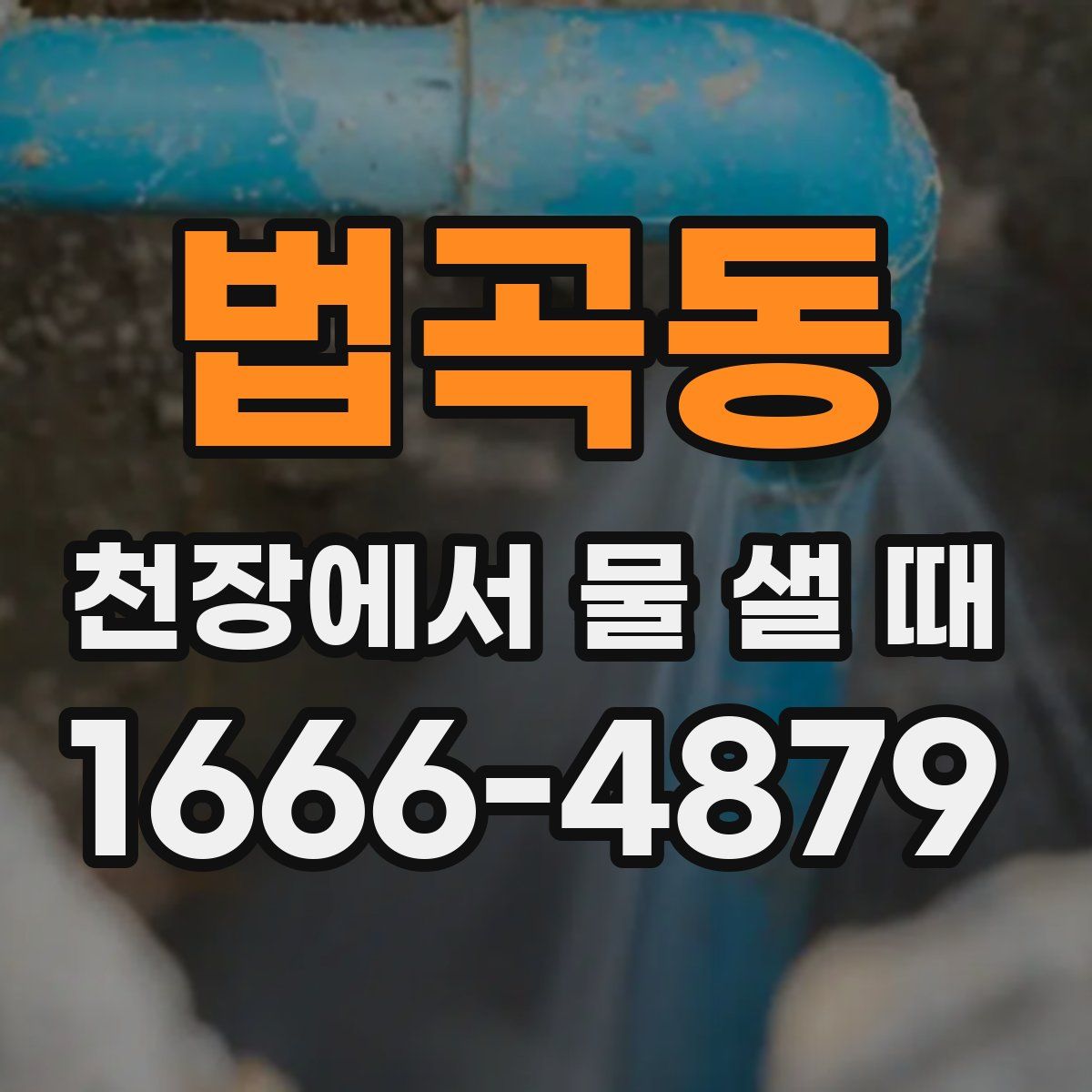 법곡동 천장에서 물 샐 때