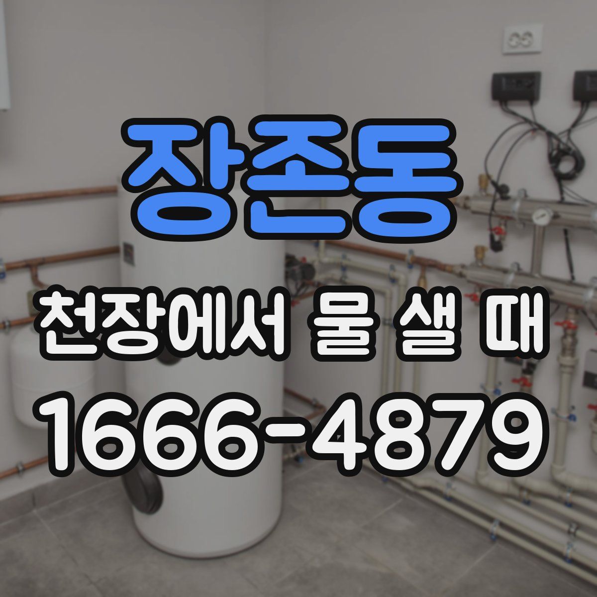 장존동 천장에서 물 샐 때