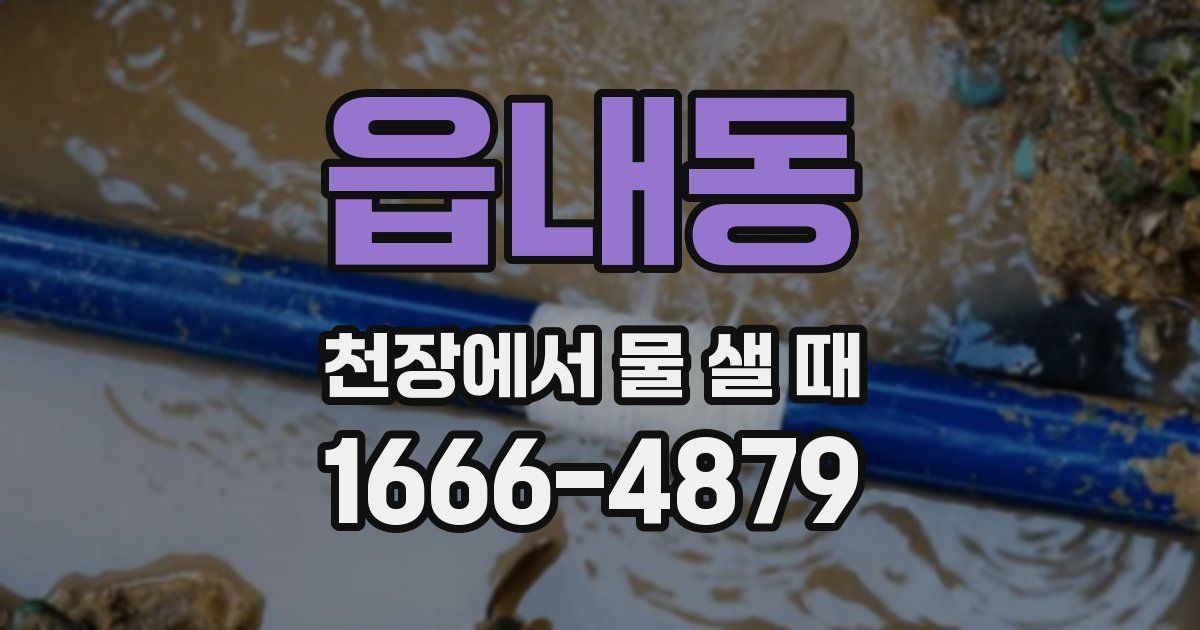 읍내동 천장에서 물 샐 때