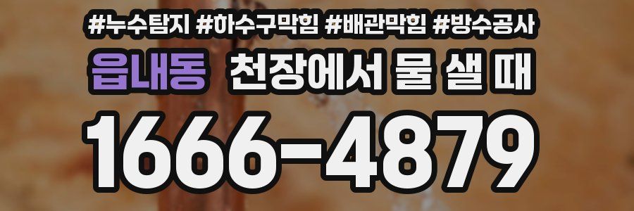 읍내동 천장에서 물 샐 때