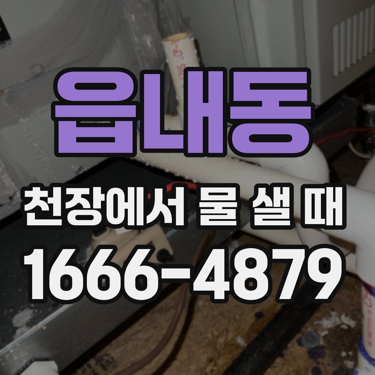 읍내동 천장에서 물 샐 때