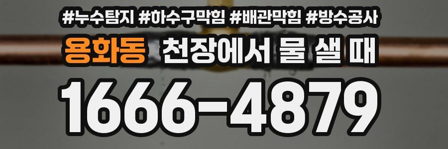 용화동 천장에서 물 샐 때