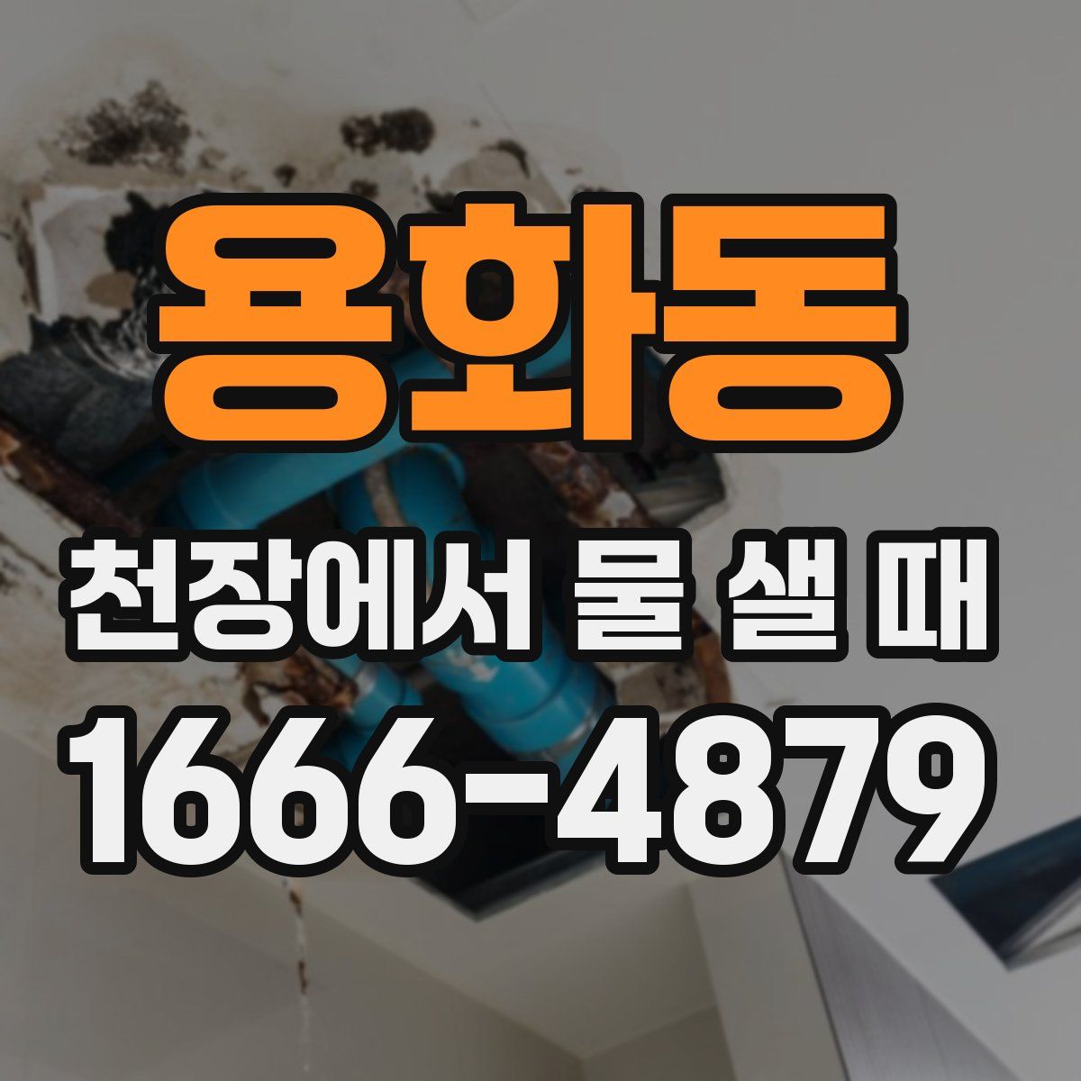 용화동 천장에서 물 샐 때