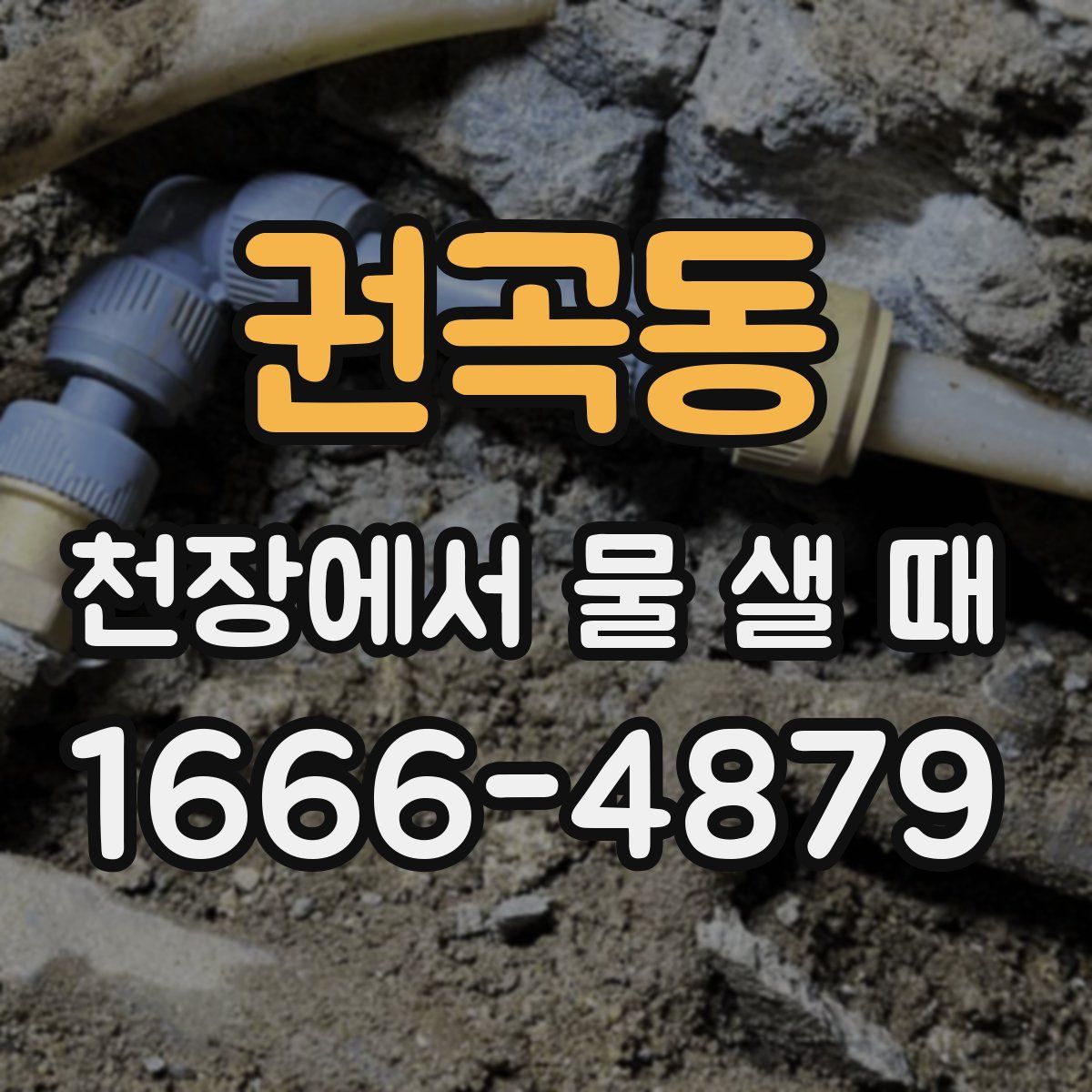 권곡동 천장에서 물 샐 때