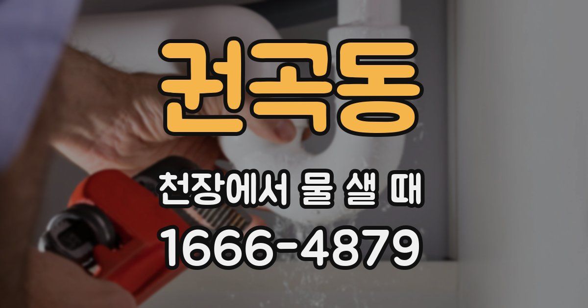 권곡동 천장에서 물 샐 때