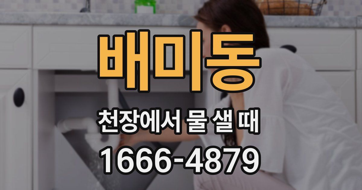 배미동 천장에서 물 샐 때