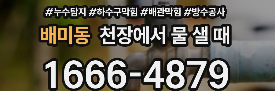 배미동 천장에서 물 샐 때