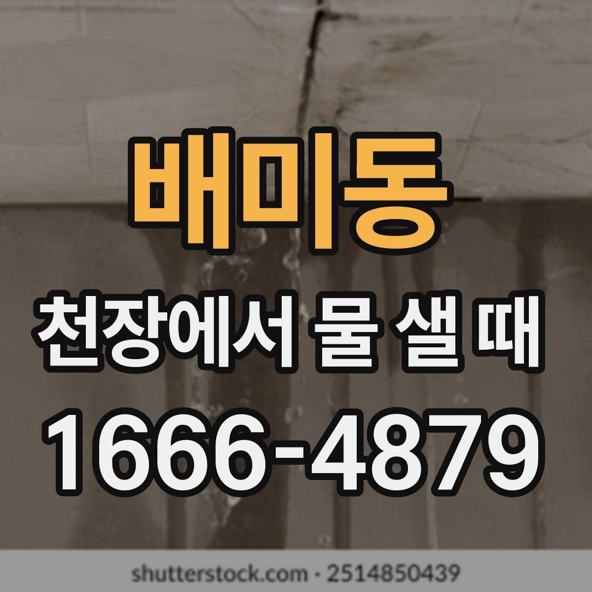 배미동 천장에서 물 샐 때