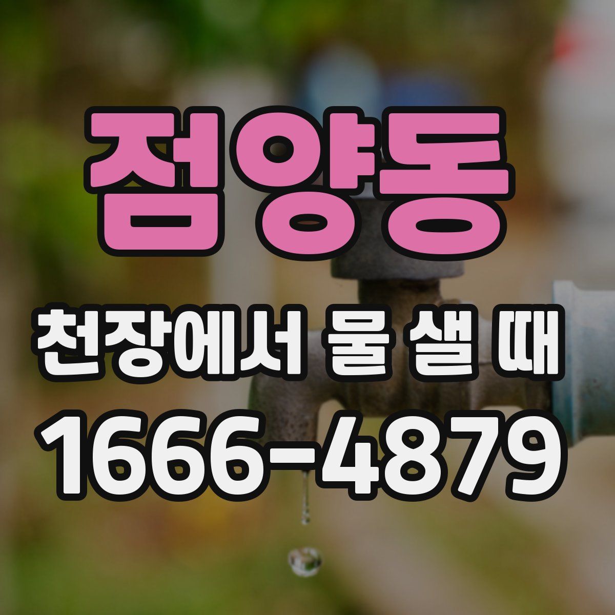 점양동 천장에서 물 샐 때