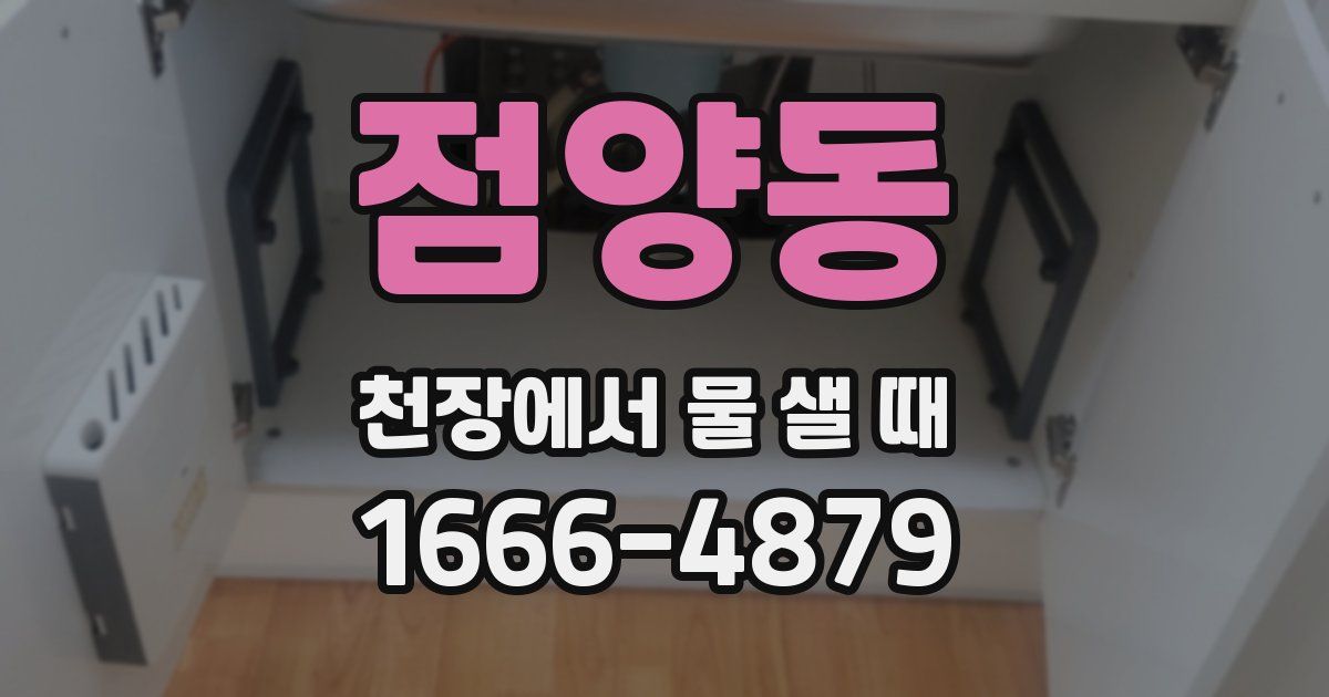 점양동 천장에서 물 샐 때