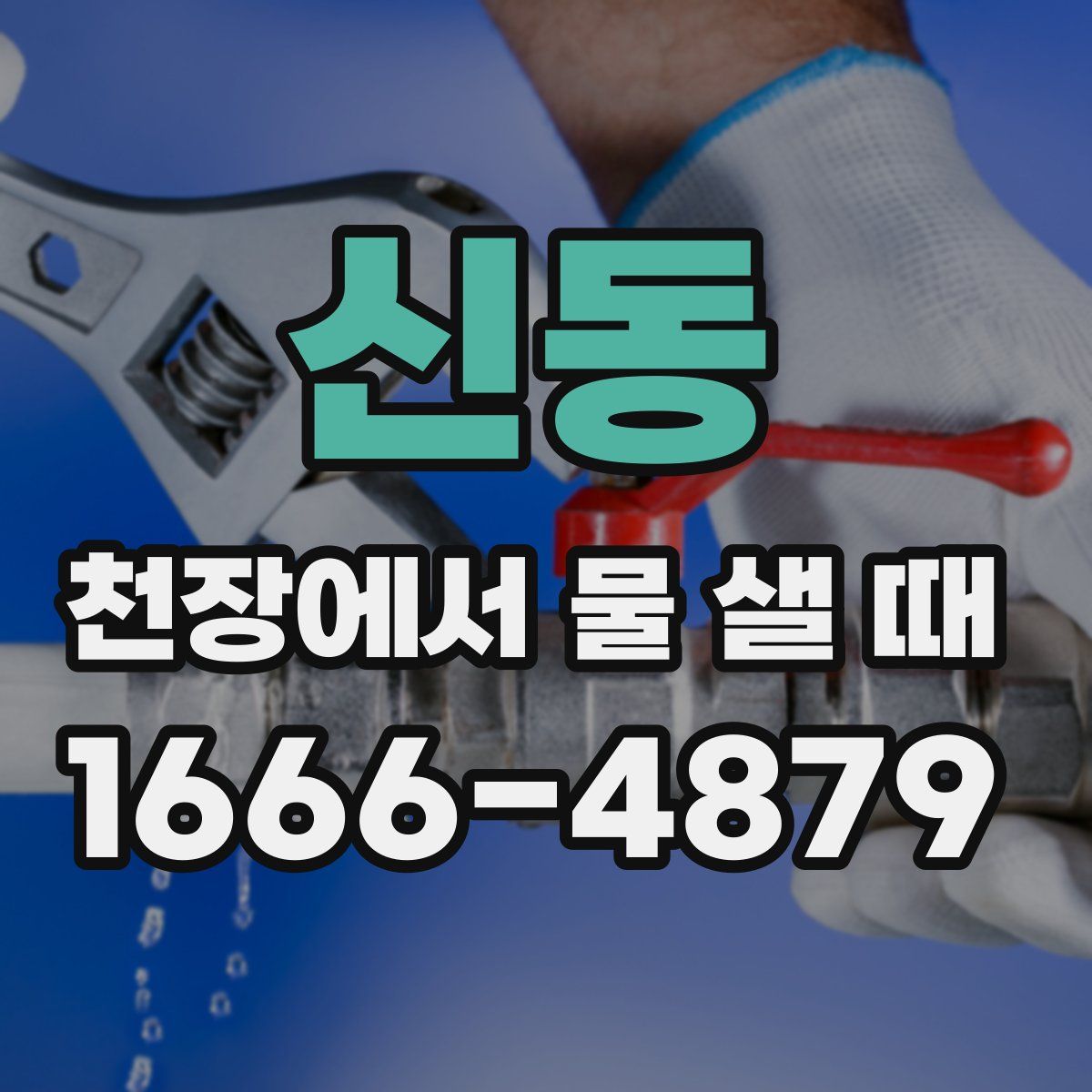 신동 천장에서 물 샐 때